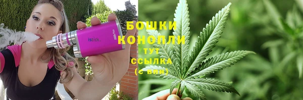 МДПВ Инсар
