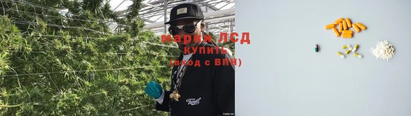 МДПВ Инсар