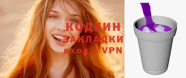 МДПВ Инсар
