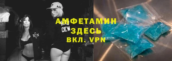 МДПВ Инсар