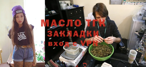 МДПВ Инсар
