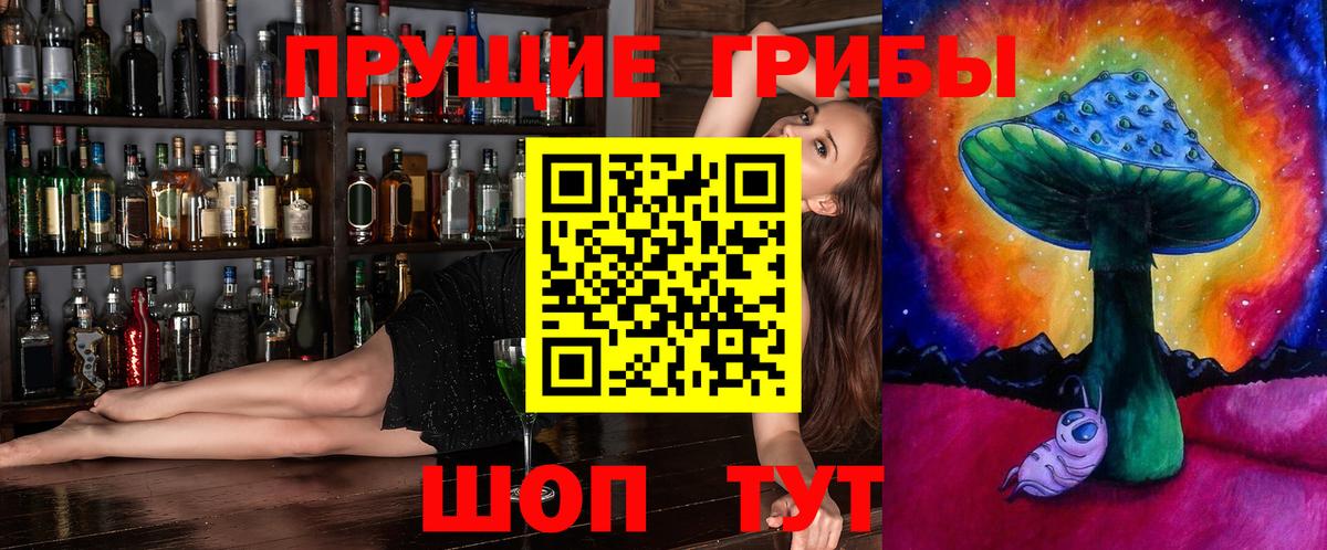 Ишимбай  Псилоцибиновые грибы мицелий  Вход с VPN 
